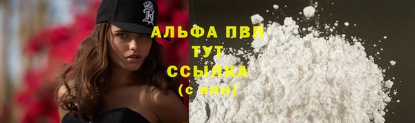 прущие крисы Кодинск