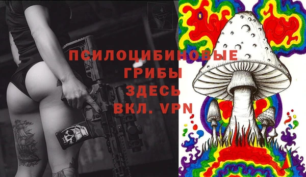 герыч Козельск